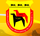 德国林根国际纯种犬展览会